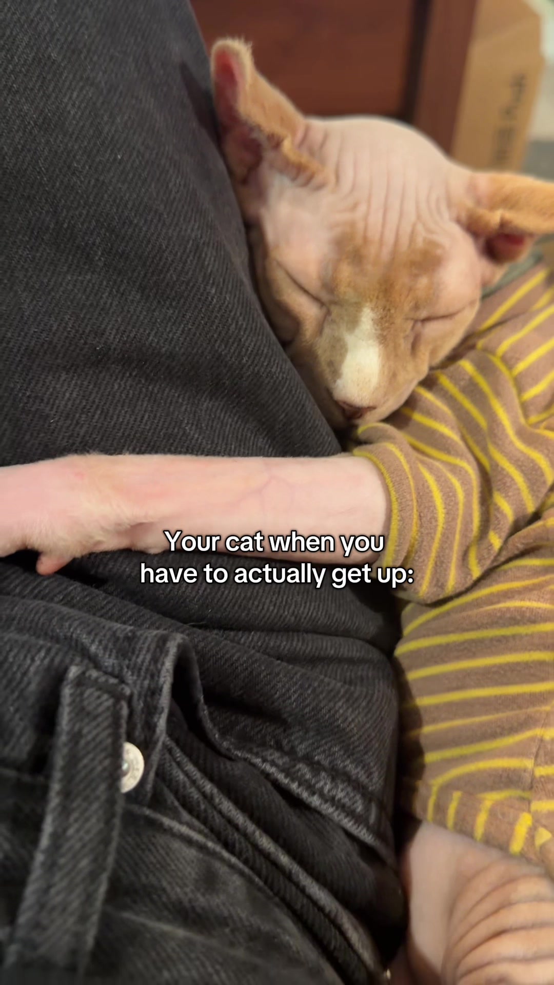 @Misa & Winston