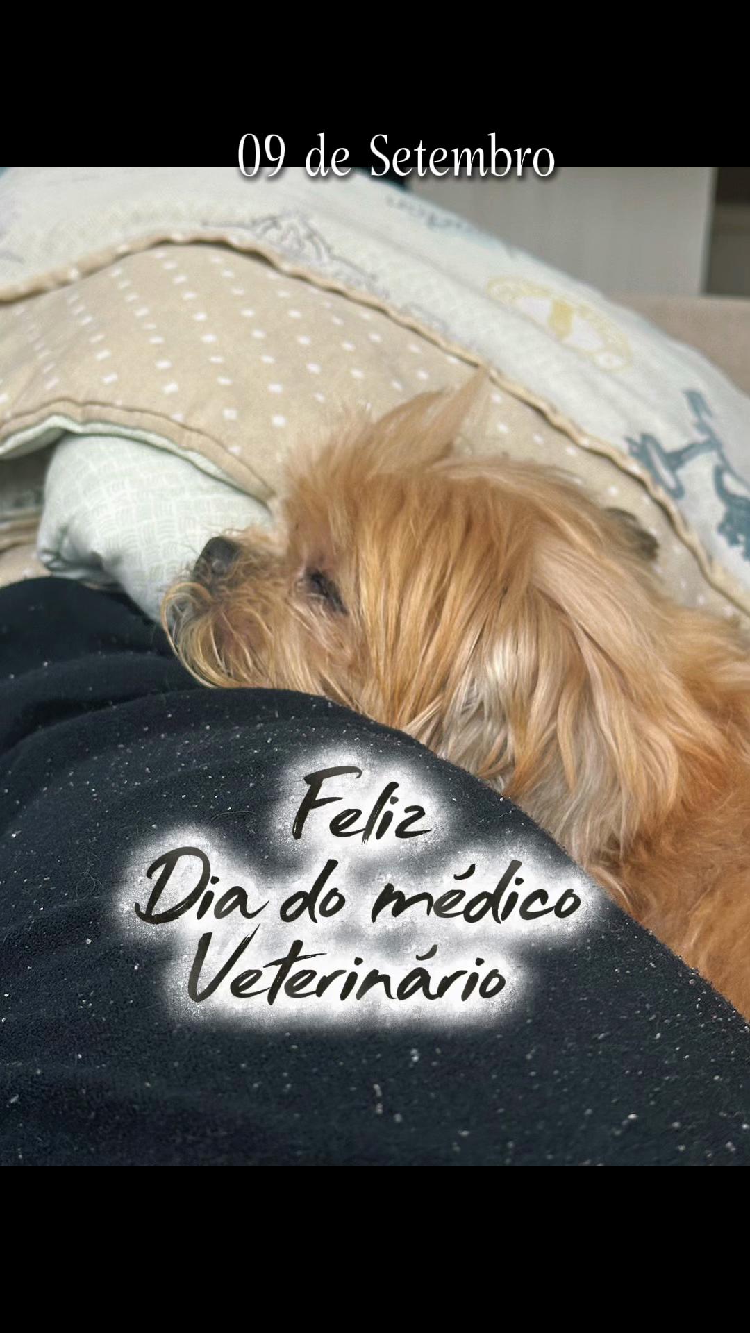 @Marina Ribeiro