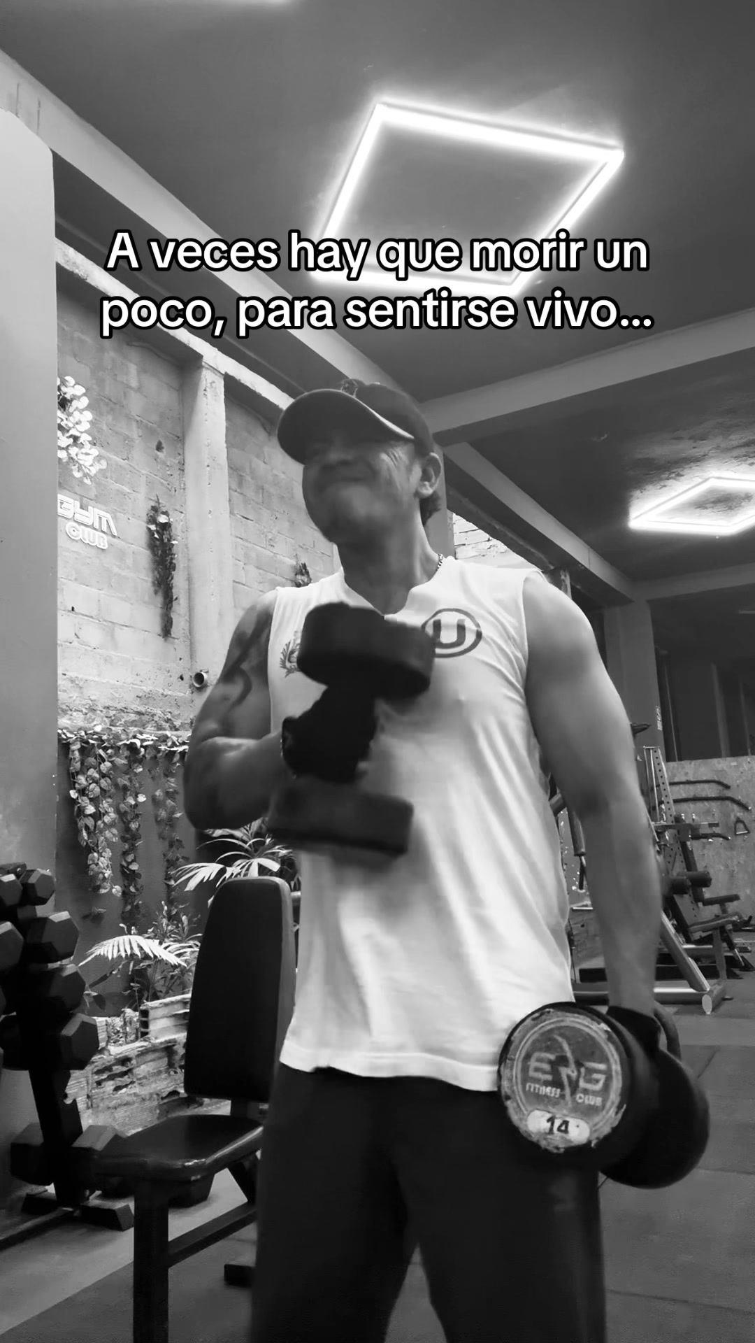 @Orlando Saavedra San