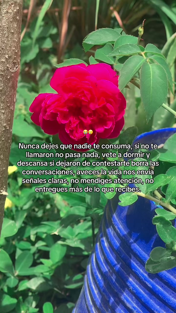 @🐺🥷🏻Sarquita940🥷🏻🖤