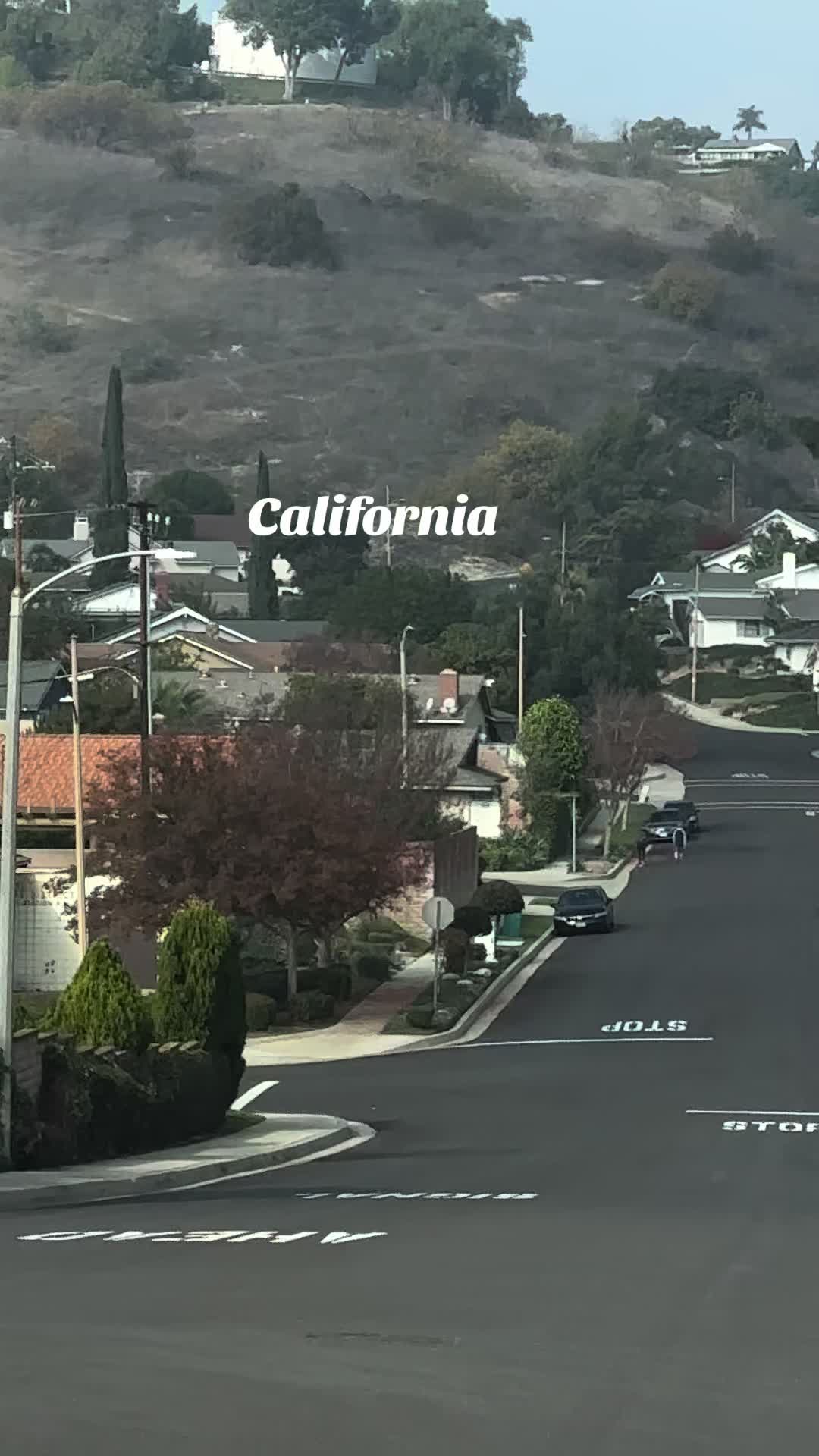 @Pacificone