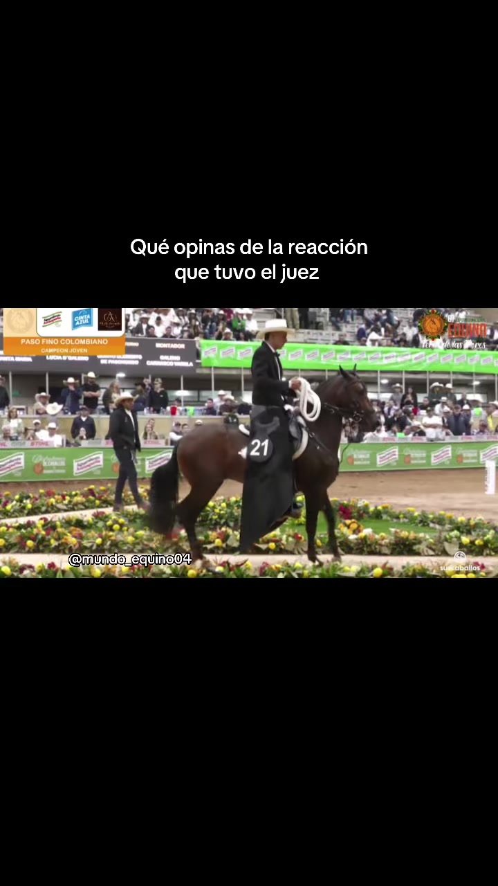@mundo_equino04