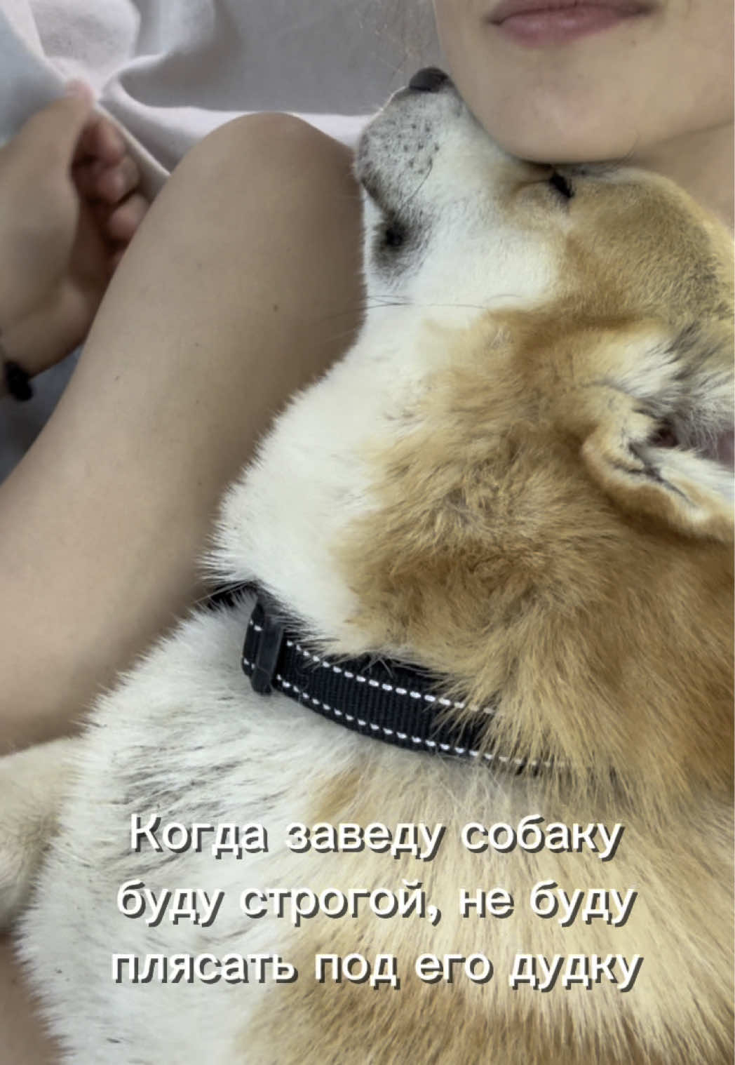 @Alina Golban
