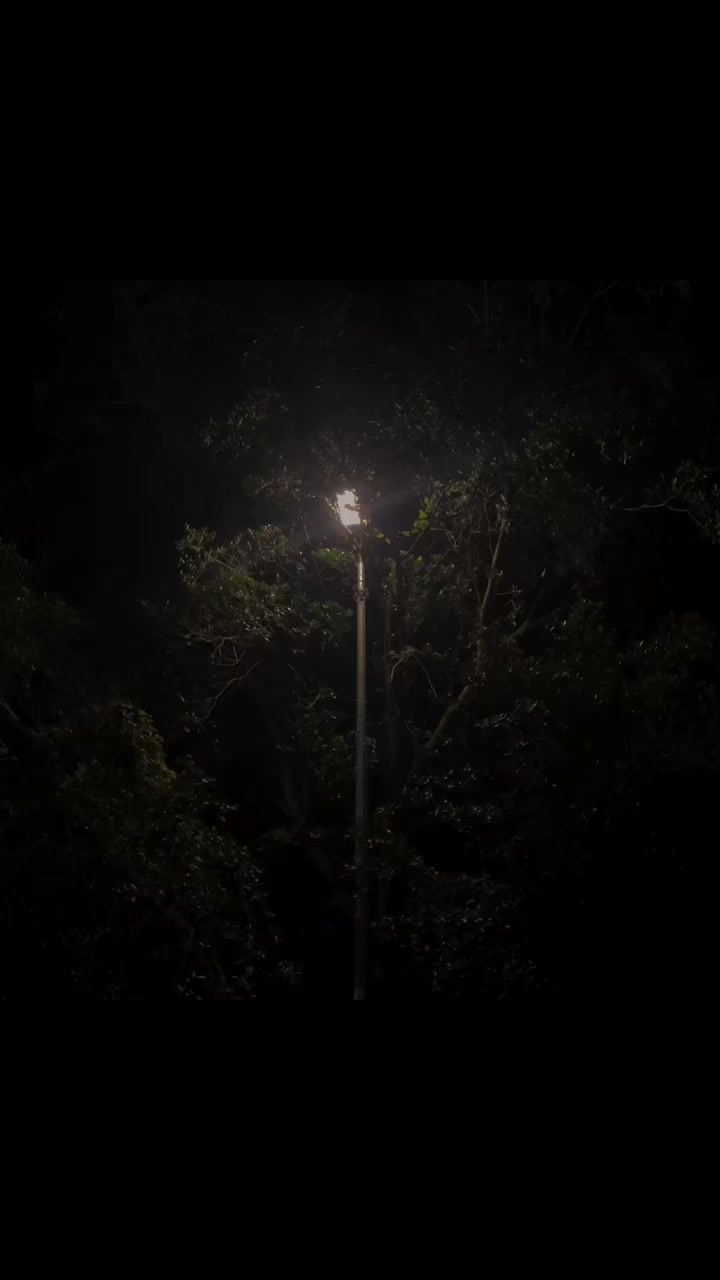 @lonelynes🥀