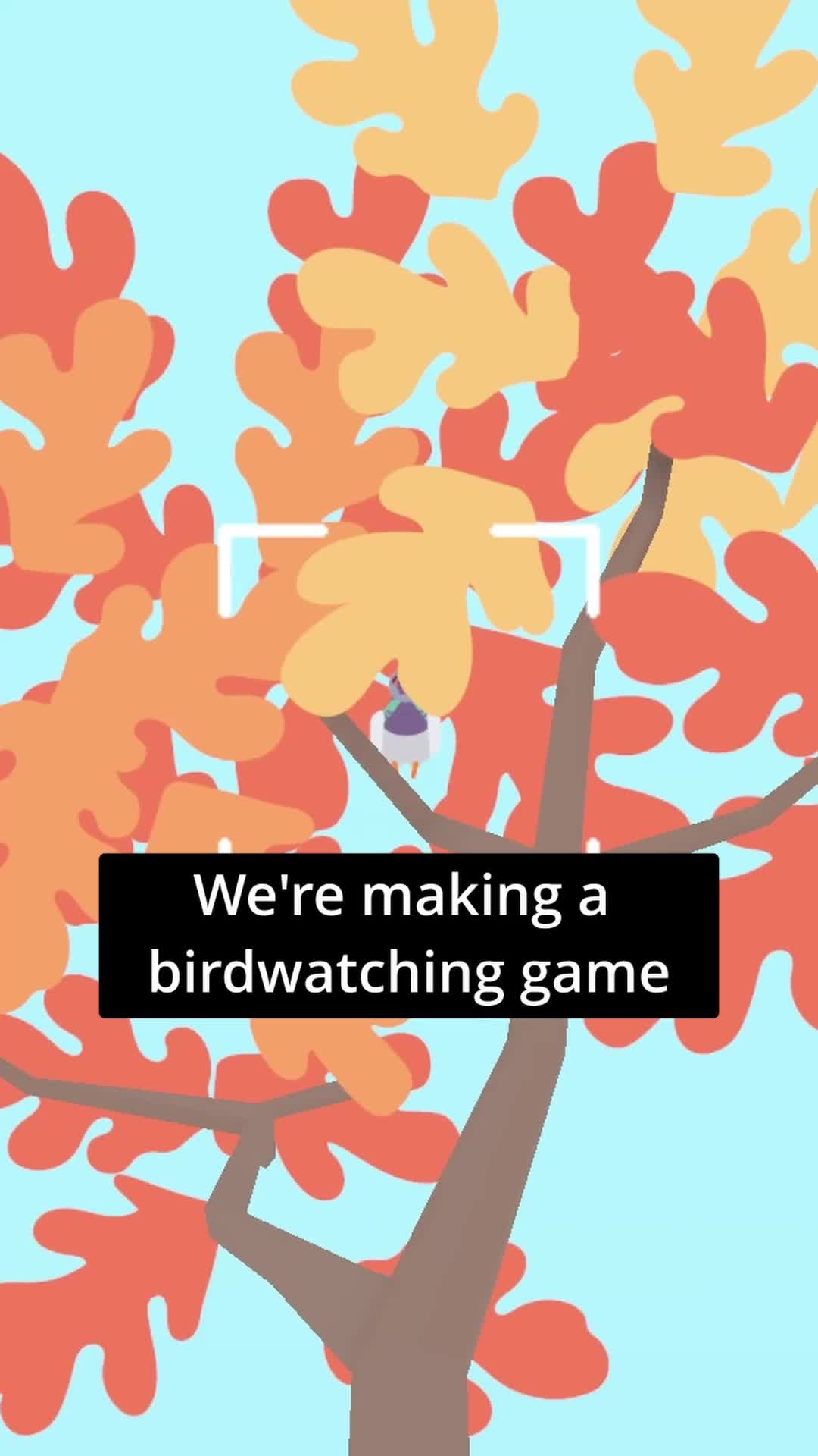 @Flock Around
