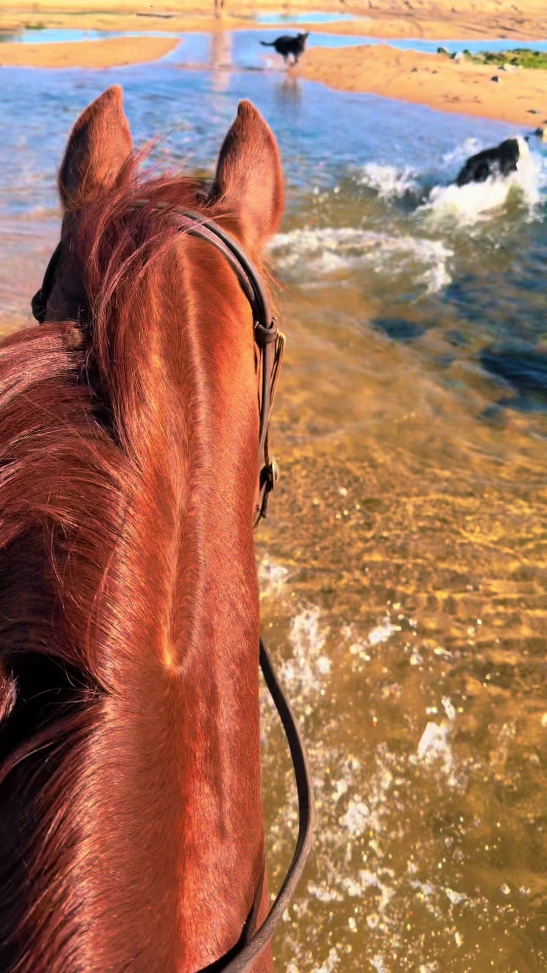 @Stable Connection