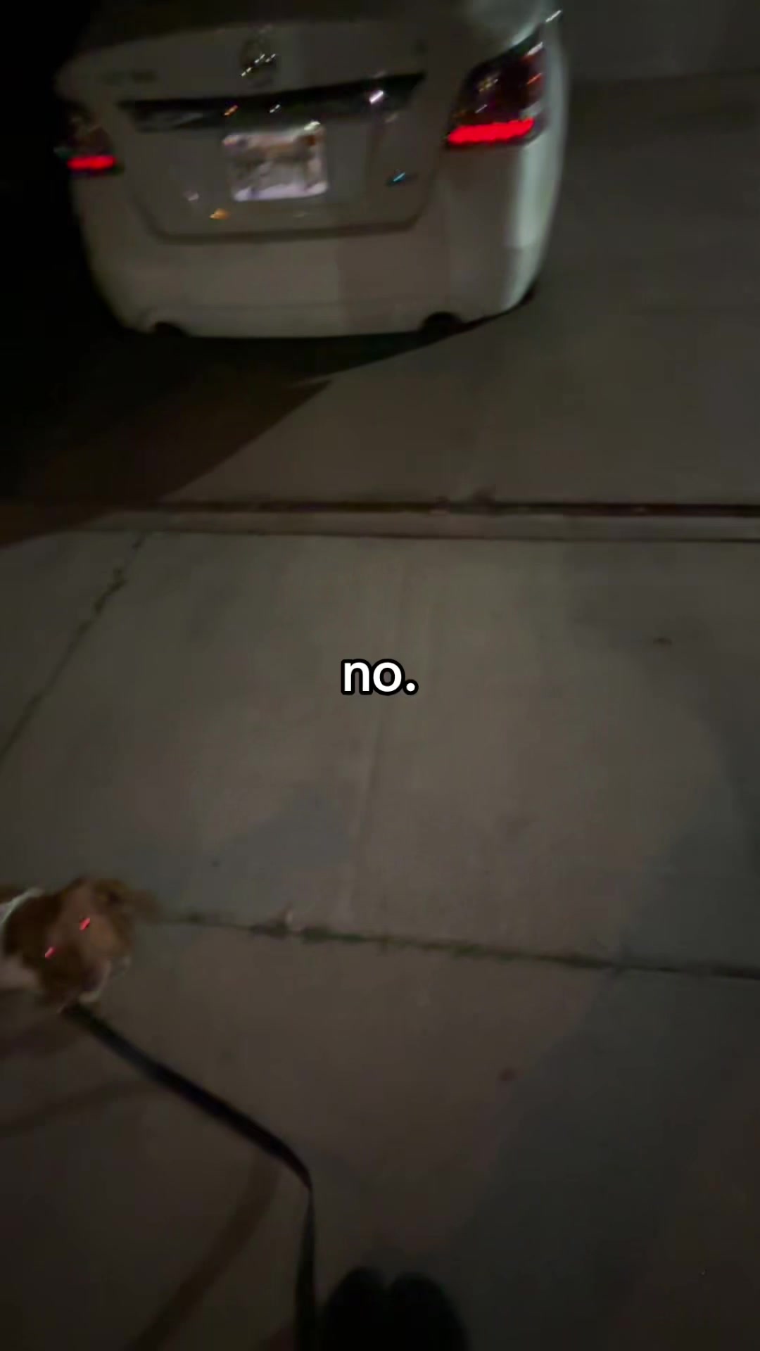 @silva
