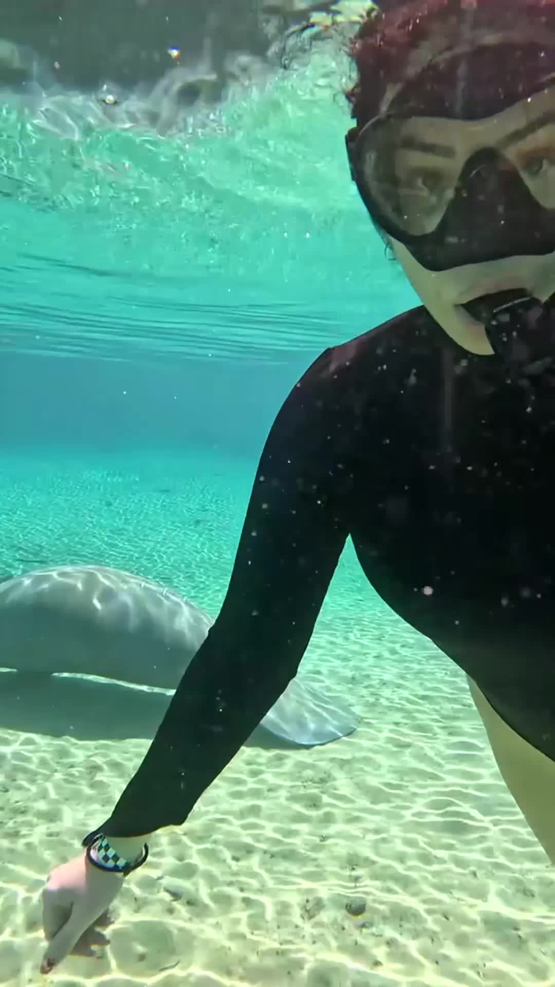 @sarabrooks14773990