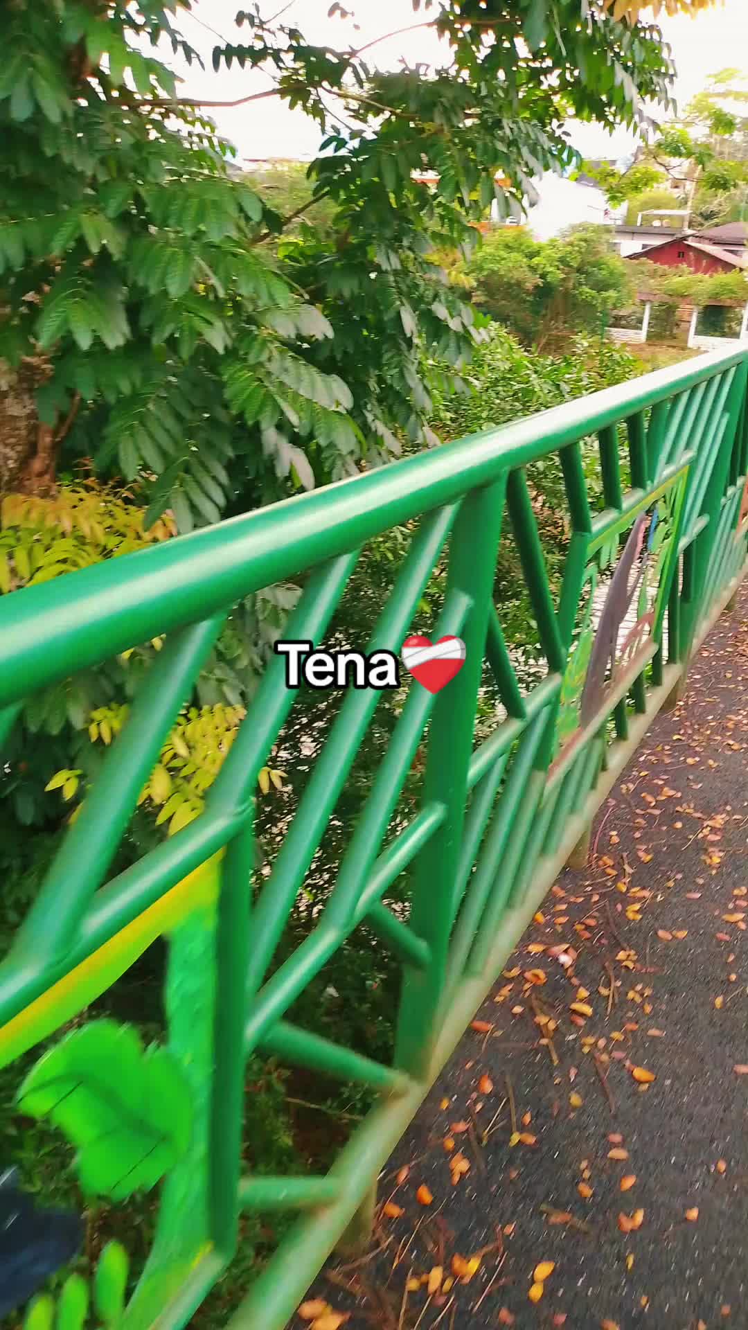 @[🍉N]Tapiz&bull;Tapiz