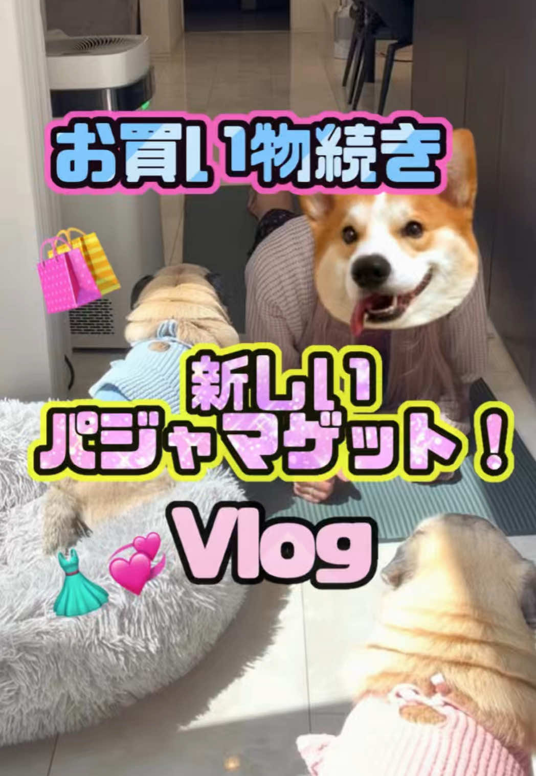 @ペコピノ🐶さっちゃん