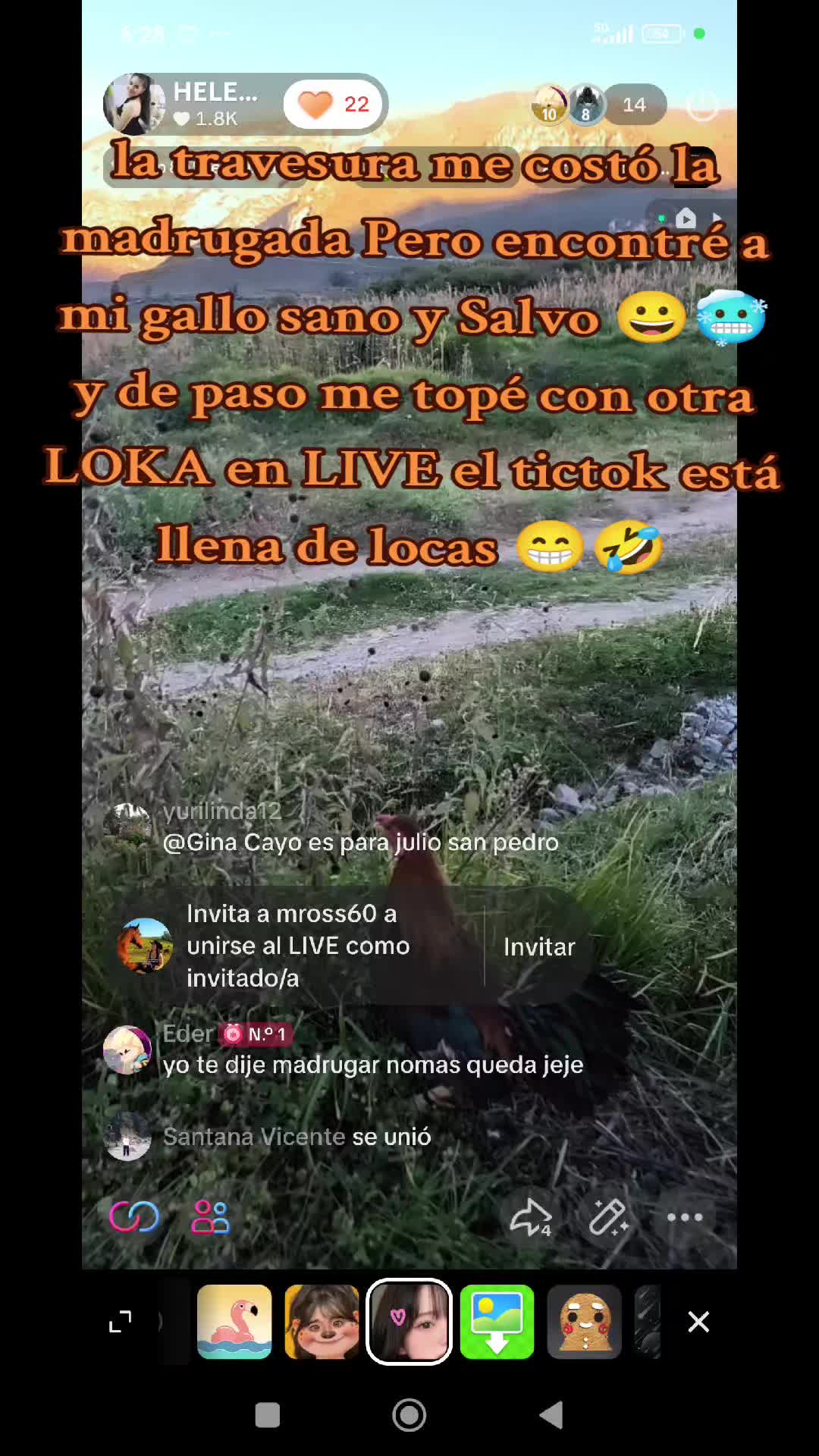 @HELEN❣️ 🐝🦋 RAYO DE LUZ 🦋🐝