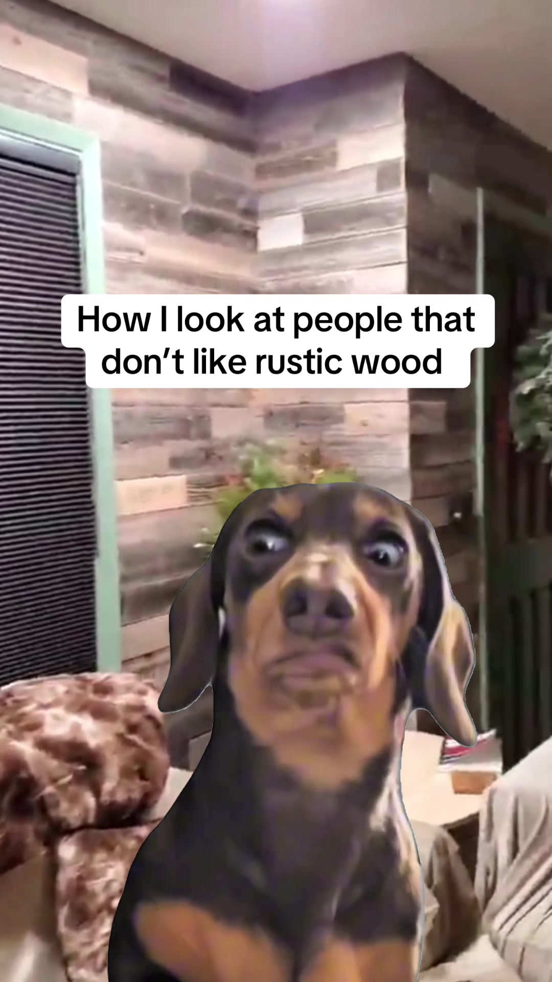 @Rockin Wood