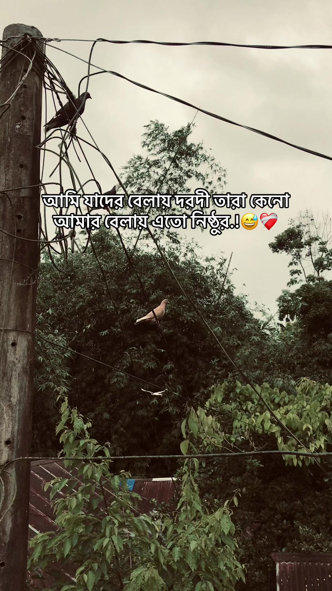 @the_spydoo🕸️ 🥏