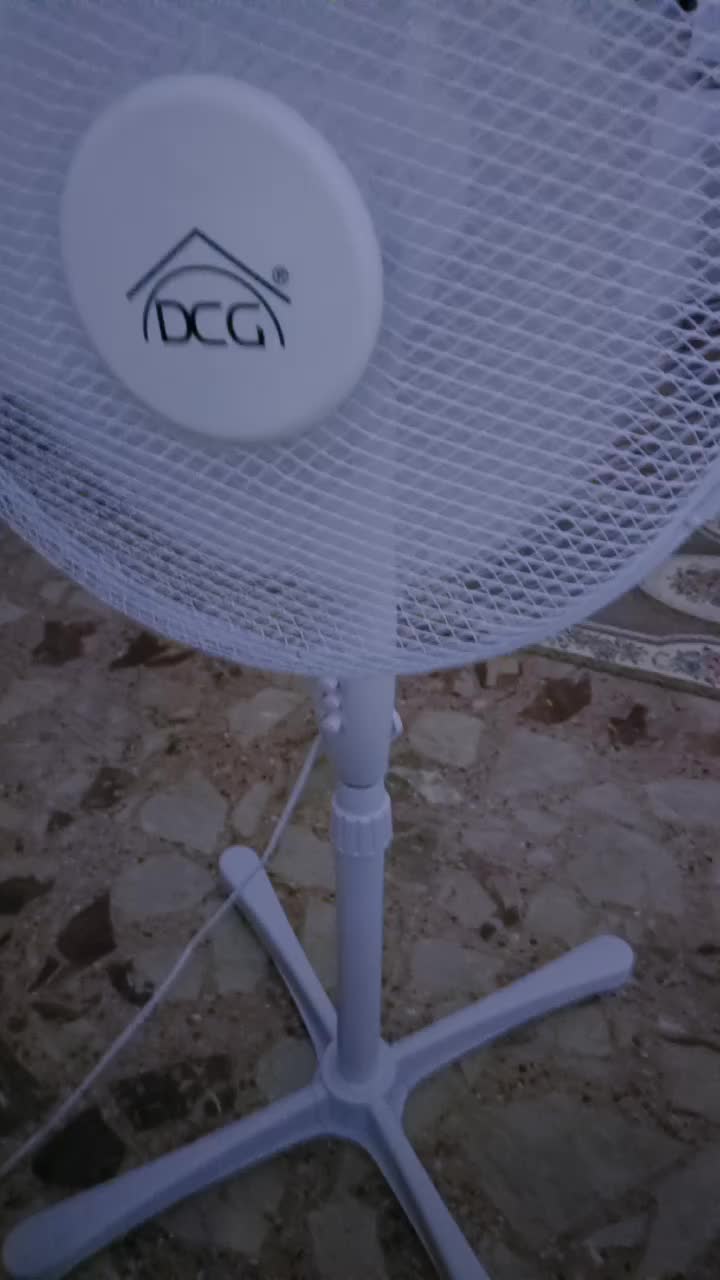 @Claudia Vicidomini