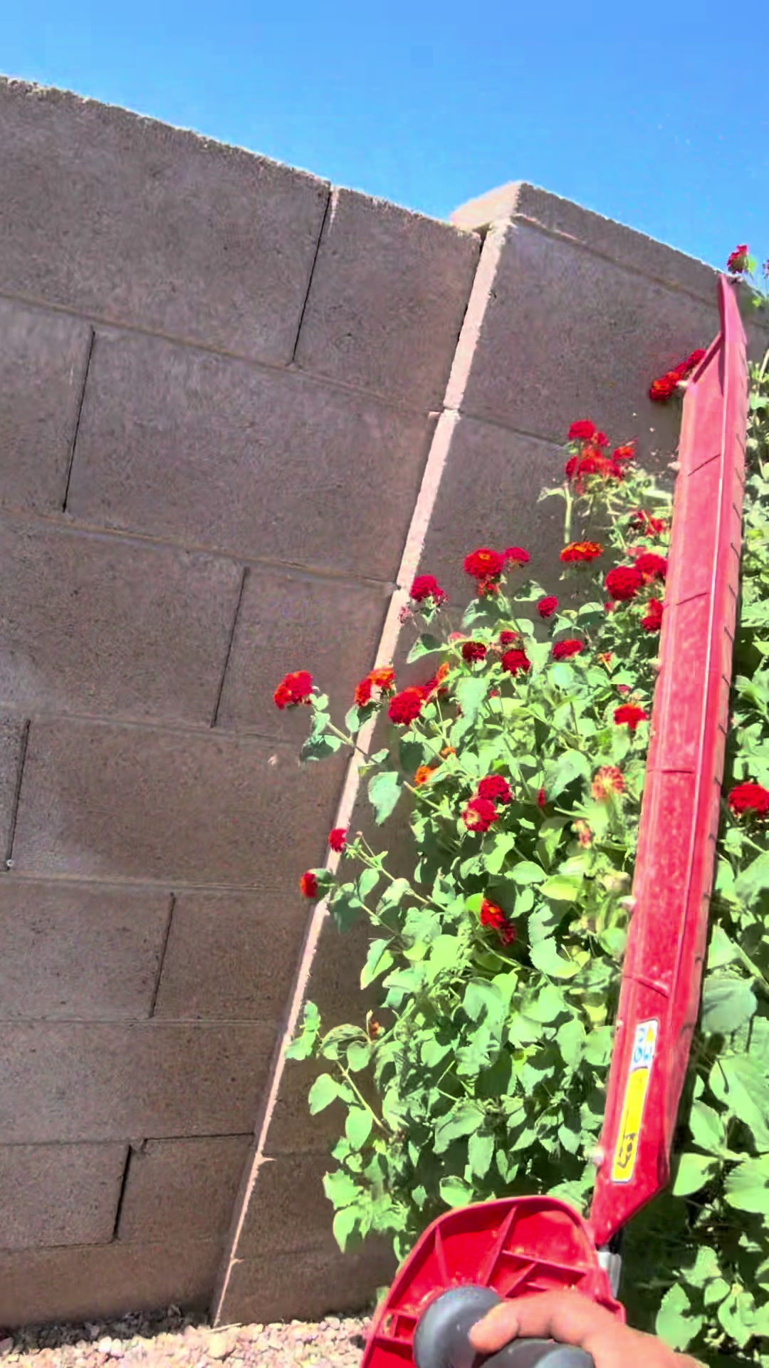 @landscaping