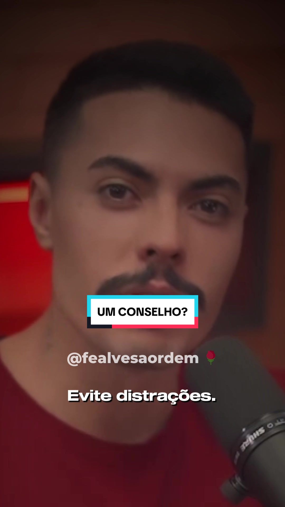 @Fê Alves | A Ordem 🌹