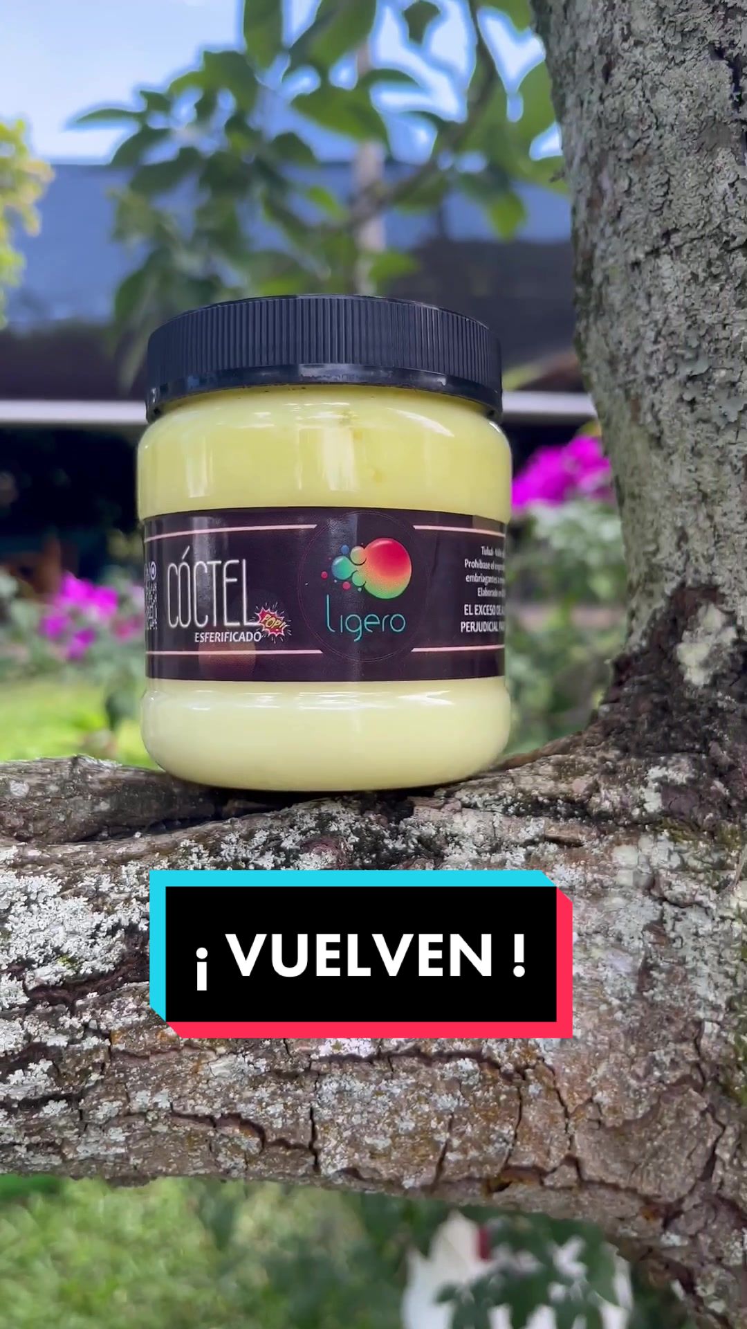 @LIGERO Tuluá