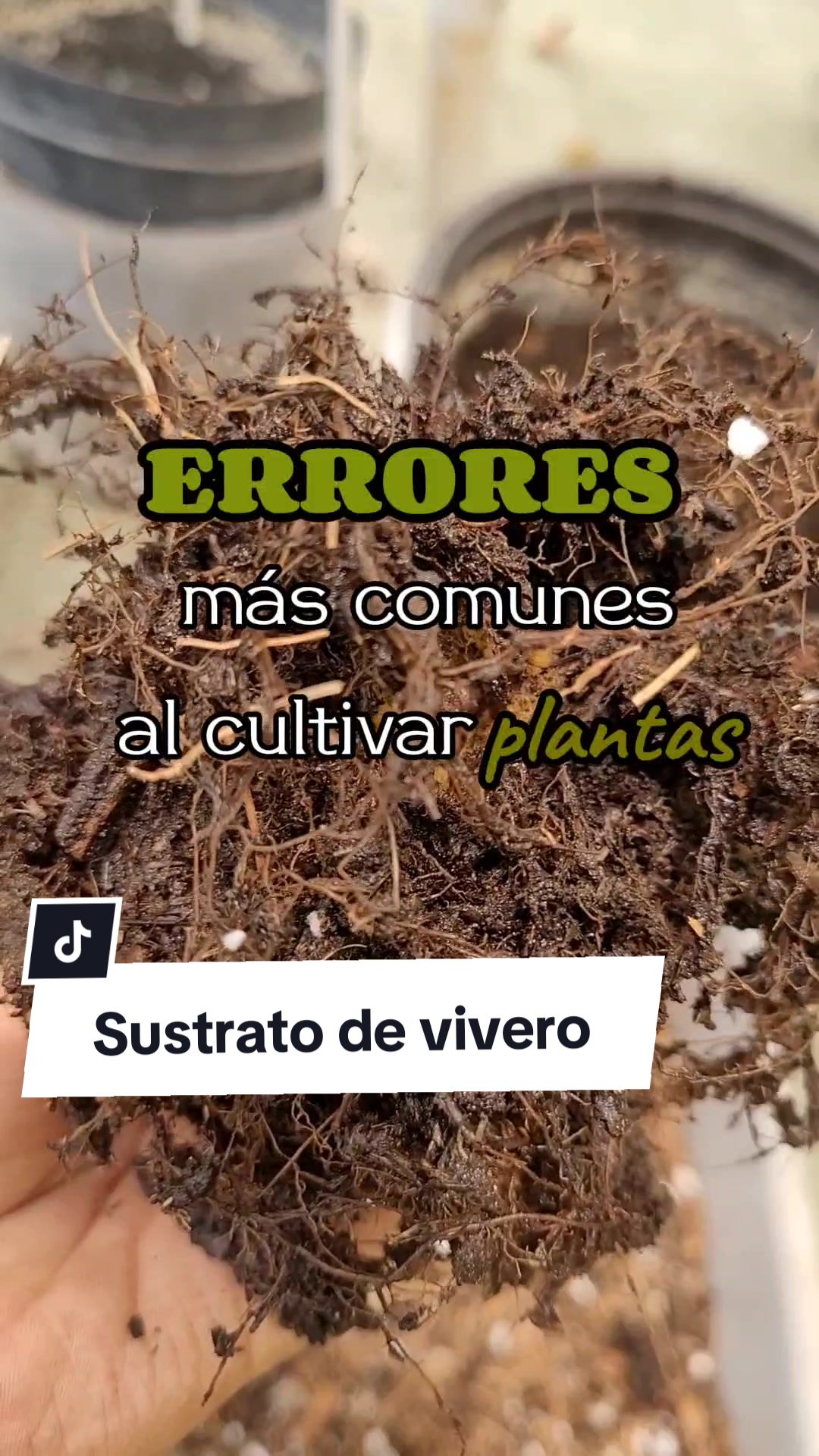 @Plantolog&iacute;a🌿