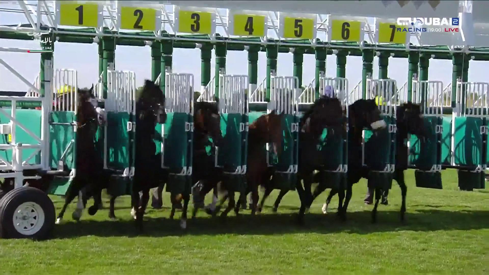 @Dubai Racing TV