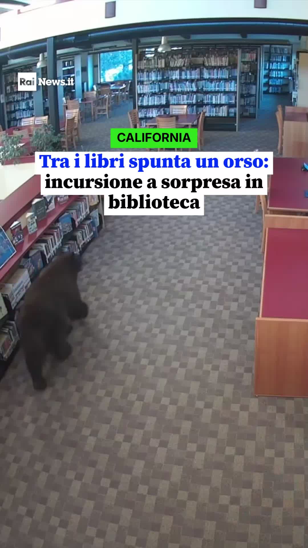 @RaiNews