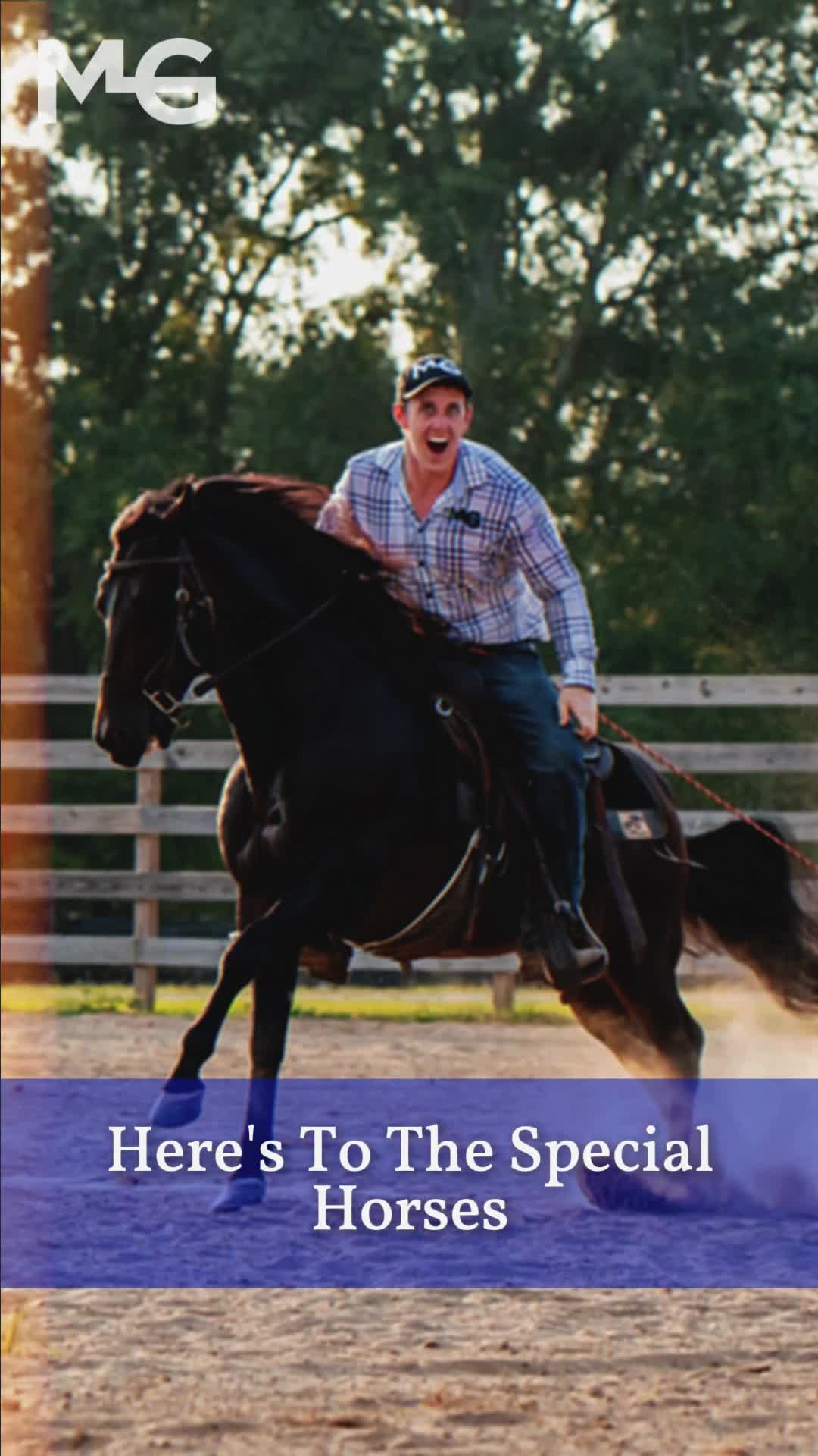 @Horse Help