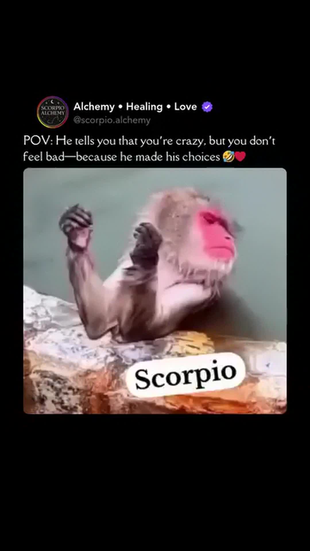 @Scorpio Alchemy