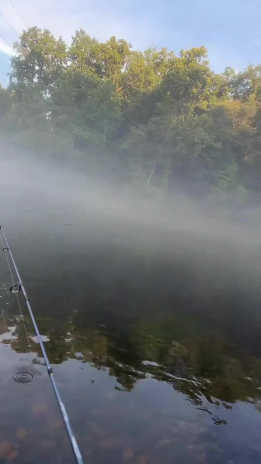 @LOVELACE 🎣