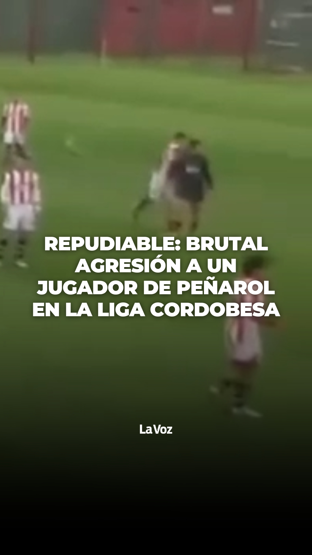 @lavozcomar