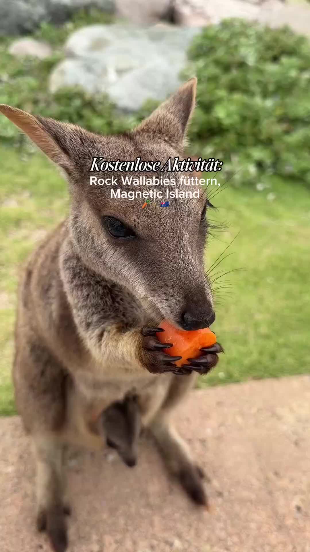 @wanderworkofficial
