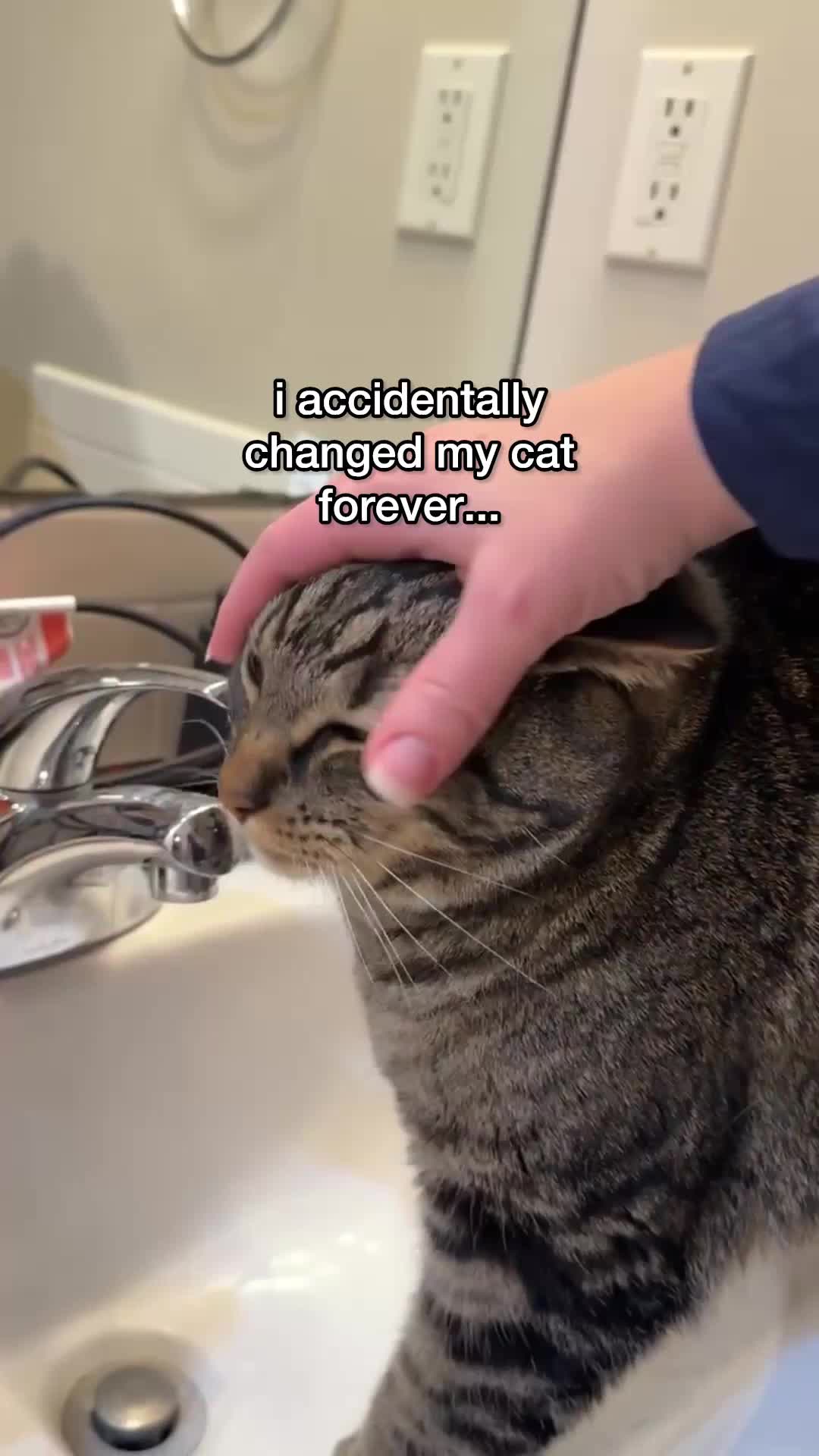 @Chip The Manx