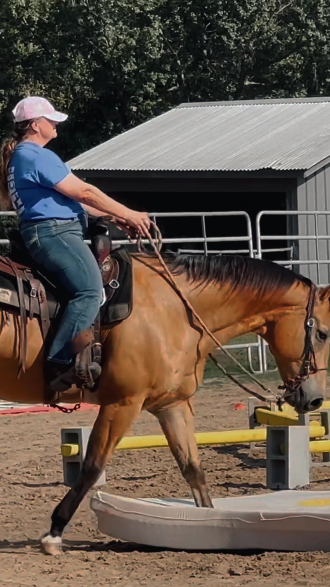 @Horse Help