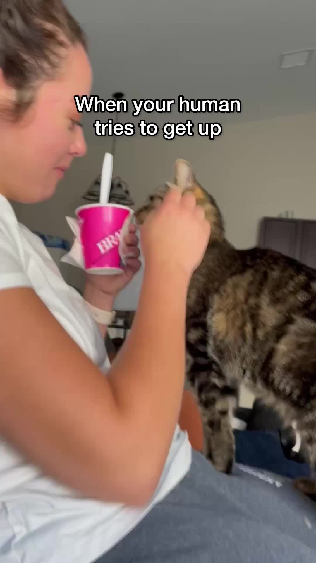 @Chip The Manx