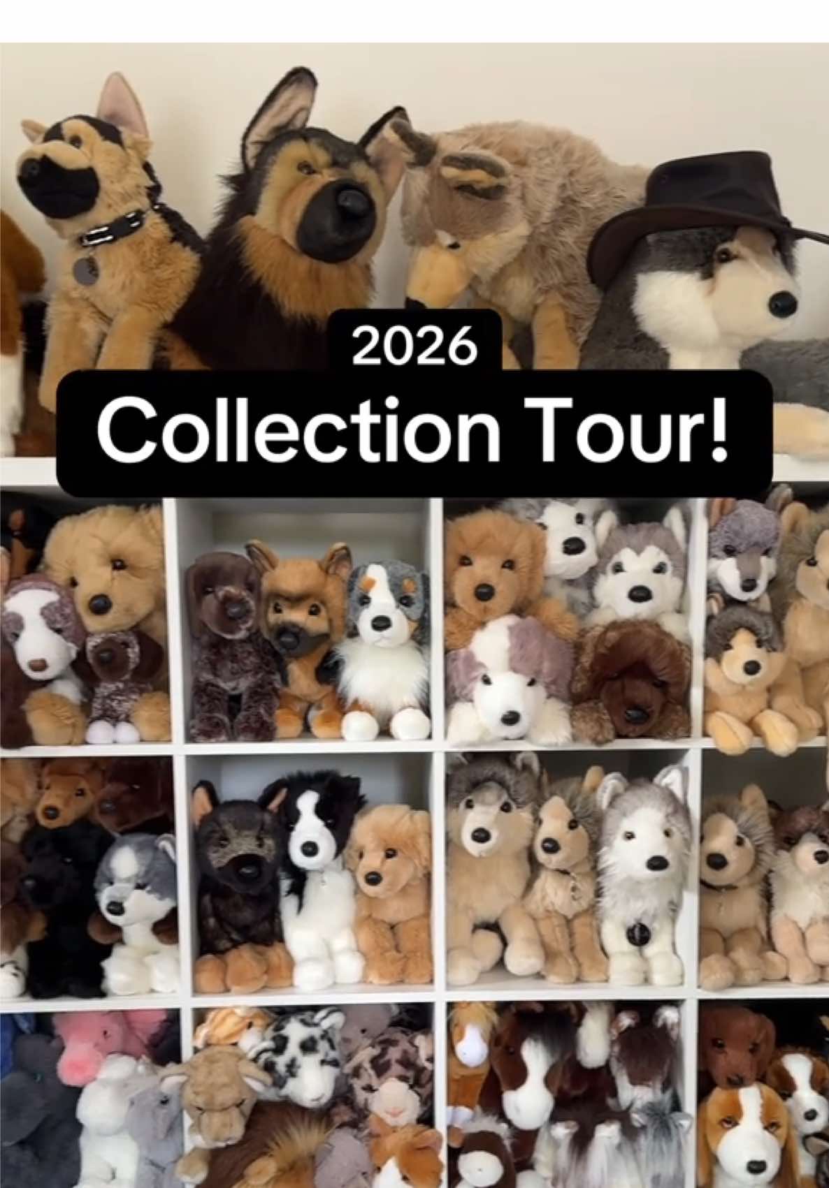 @Wonder Wolf Plush