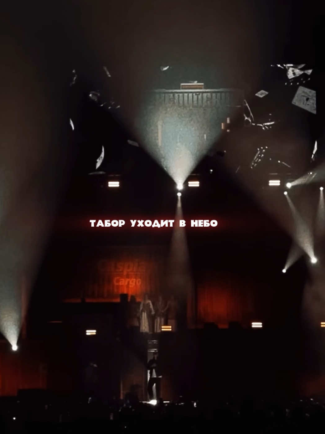 @𝖘𝖎𝖑𝖛𝖊𝖗 𝖘𝖕𝖎𝖉𝖊𝖗 🕷️