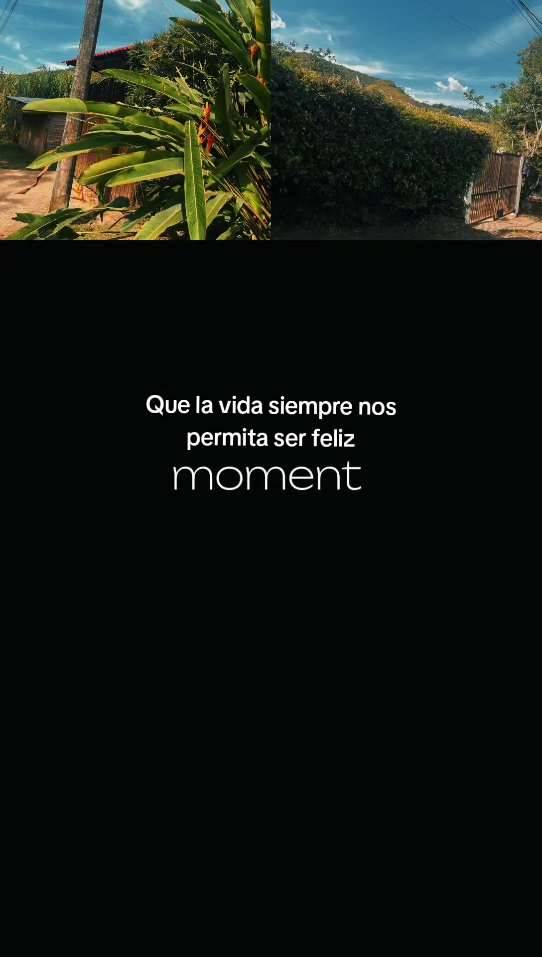 @Angiie Mar&iacute;n🍃❤️