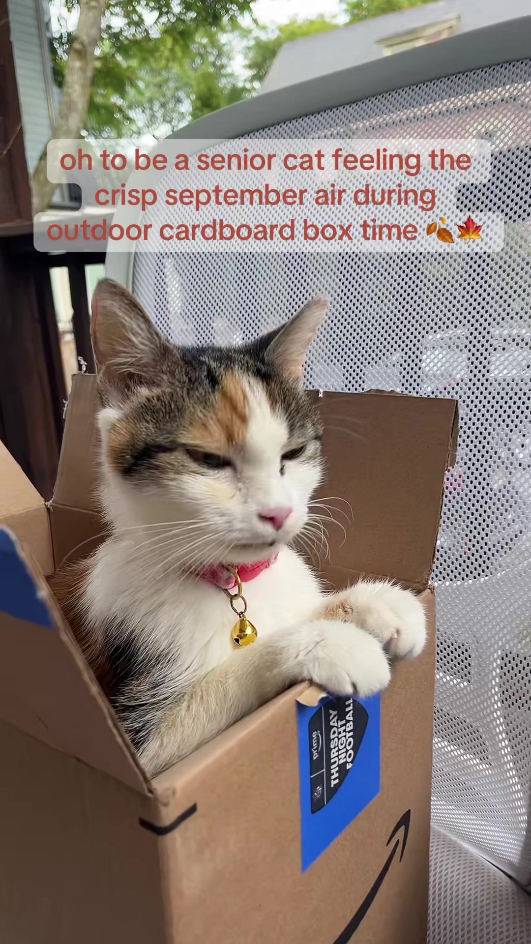 @pennyloafersmom