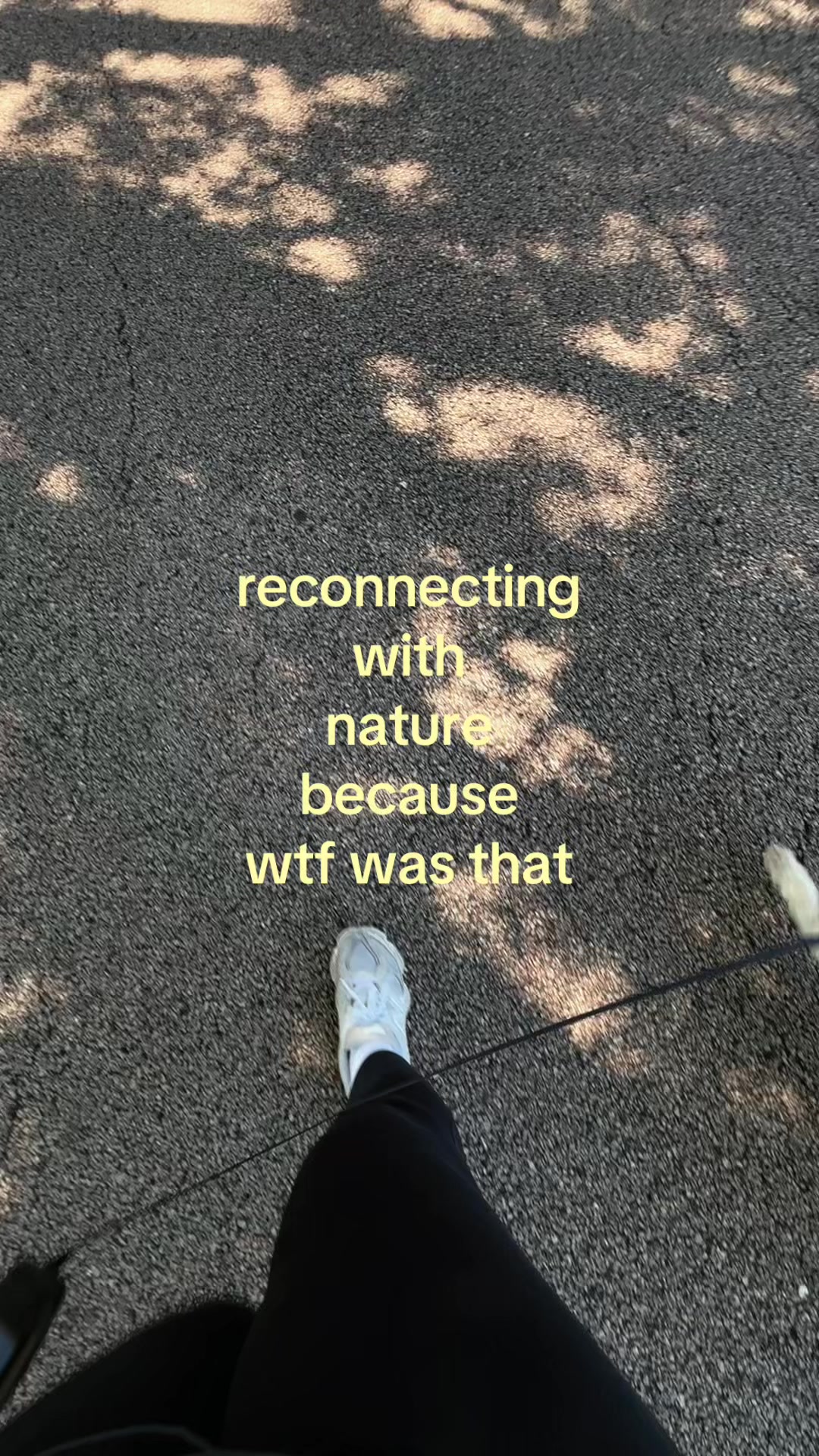 @mina🪽