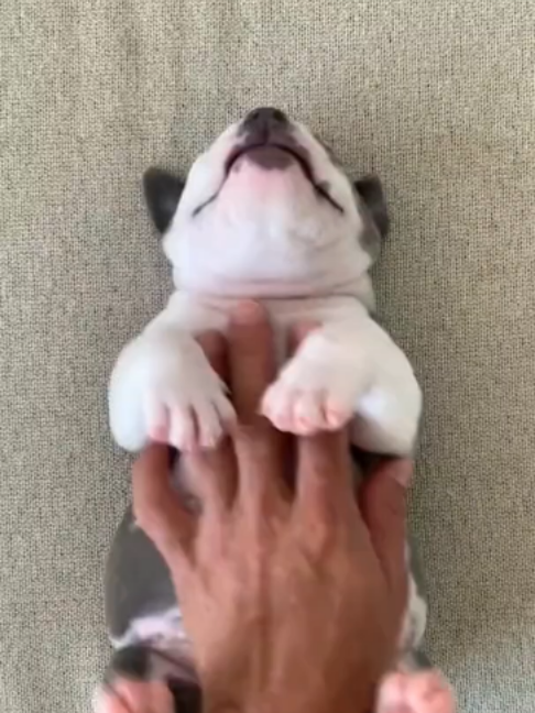@uxifnfsiyyn