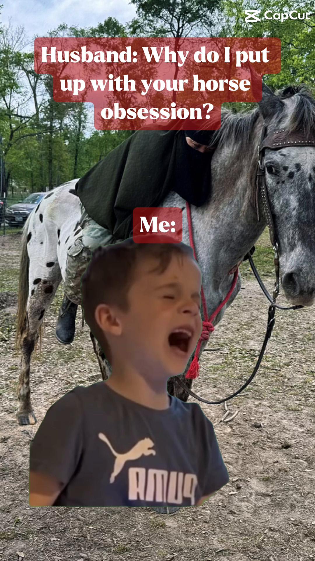 @Muslim Equestrians L.L.C.