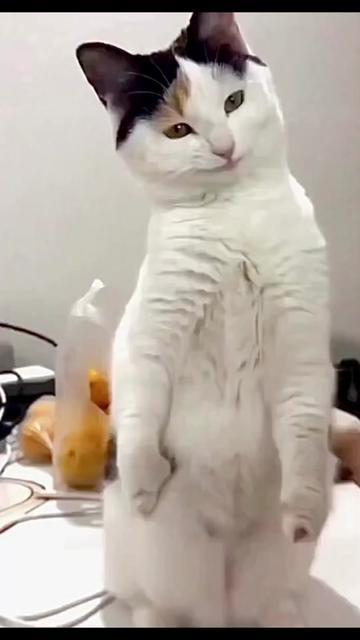 @Alina