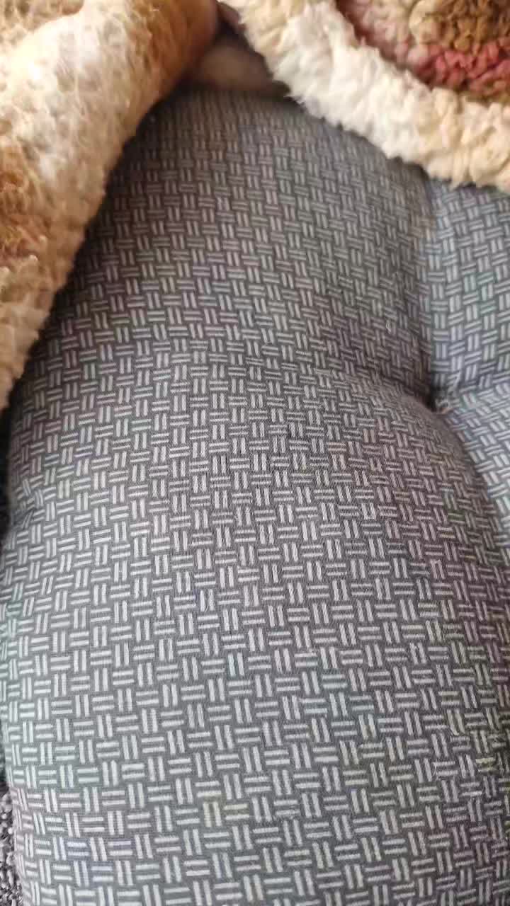 @fifillemichou54