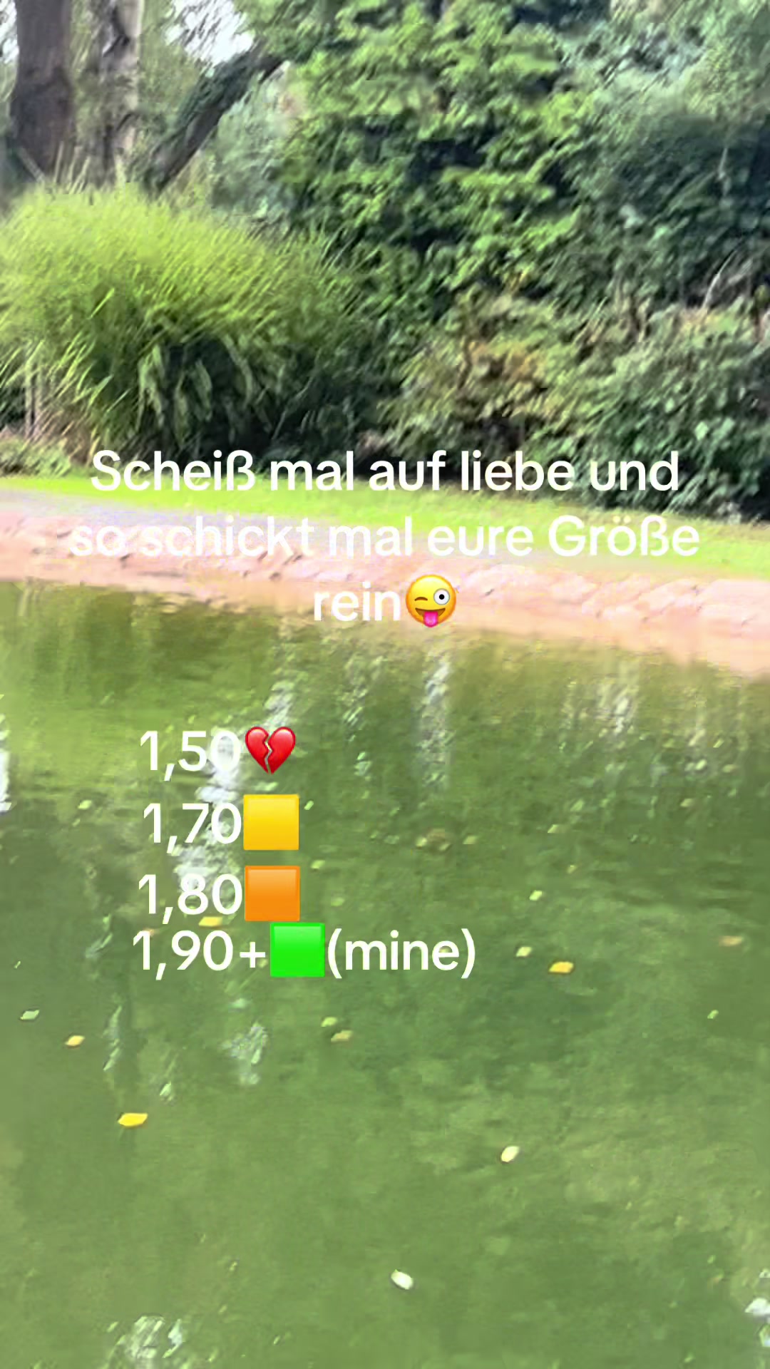 @Brotscheibe01