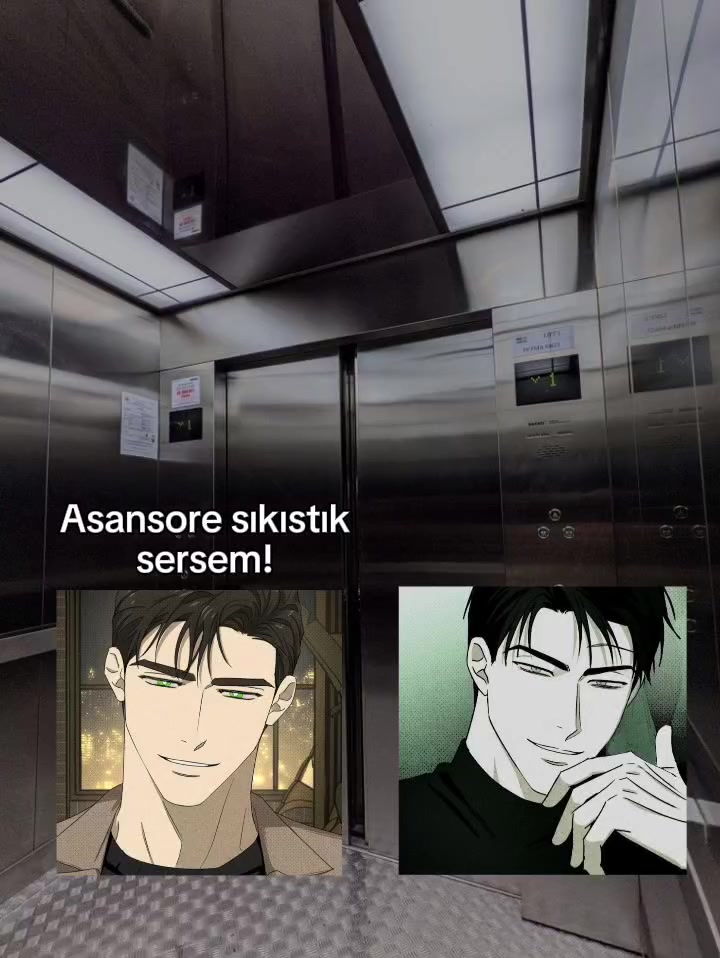 @oceankaan