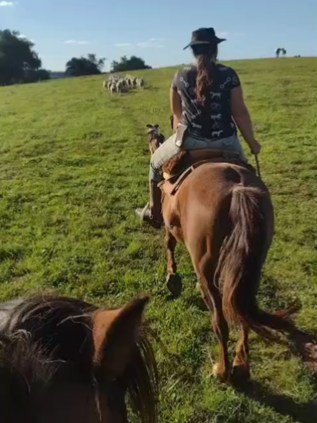 @Ga&uacute;cha