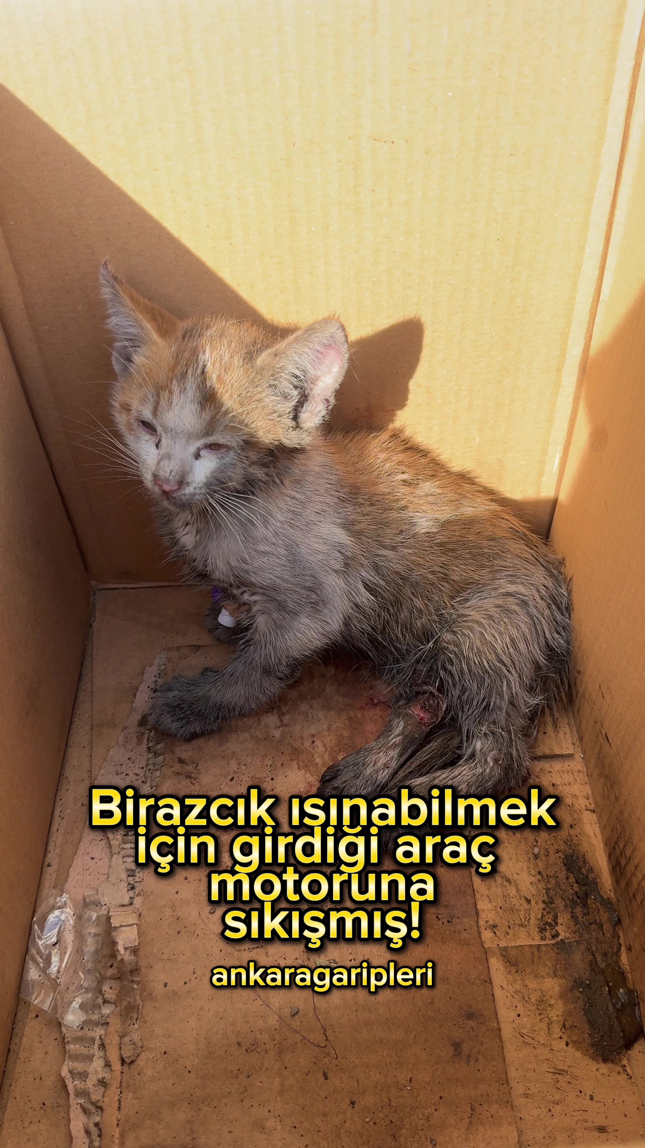 @Asiye