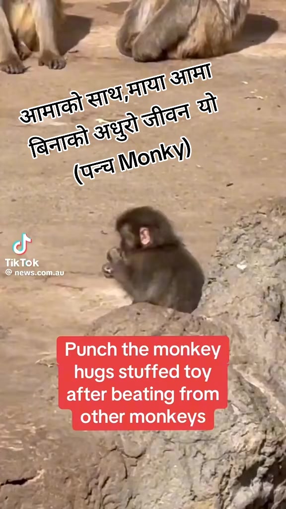 @Shiva Kunwar555