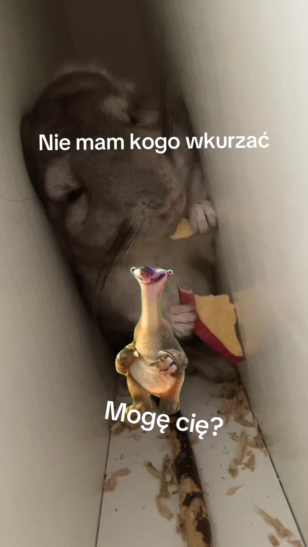 @kira1213145