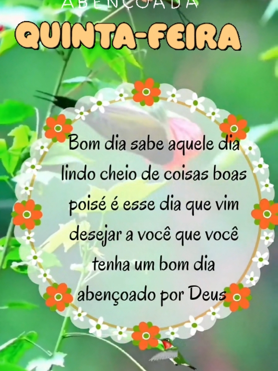 @Niube Resende💃👠📕🇧🇷🌻