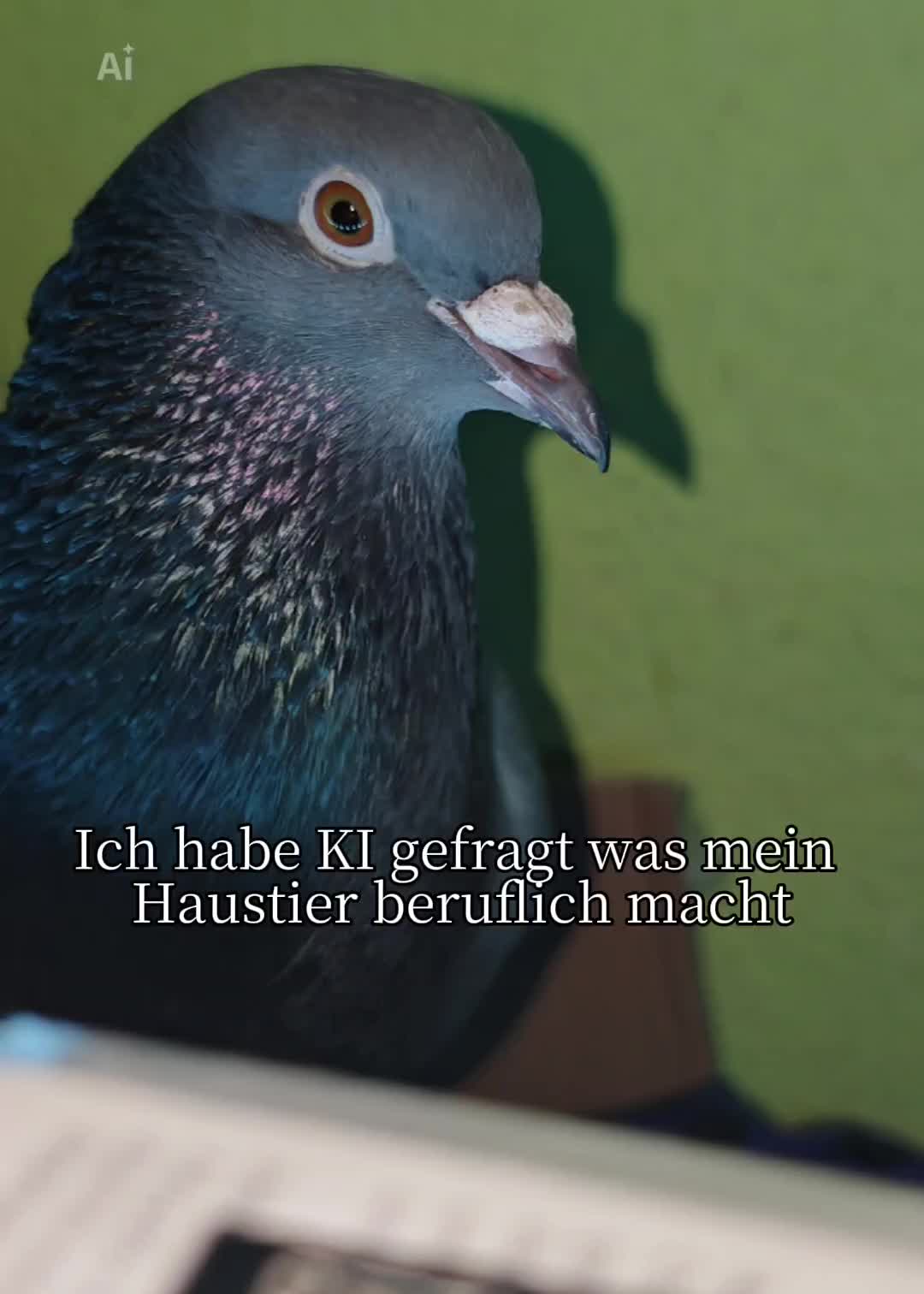 @Nyctophilia242🇩🇪
