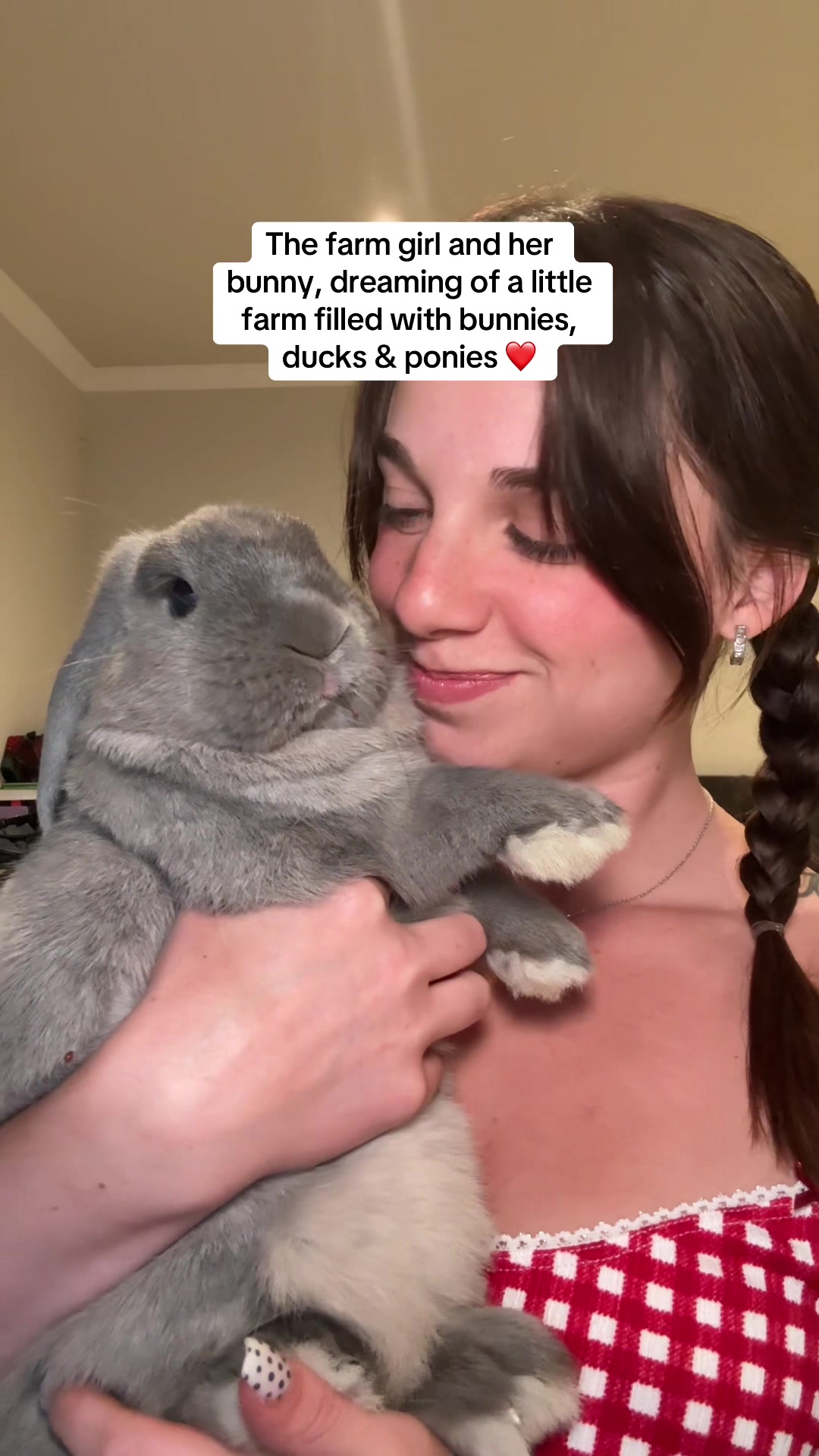 @Buzz the Bunny